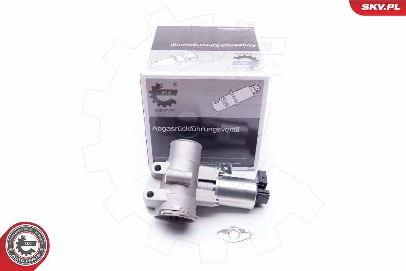 EGR Valve
